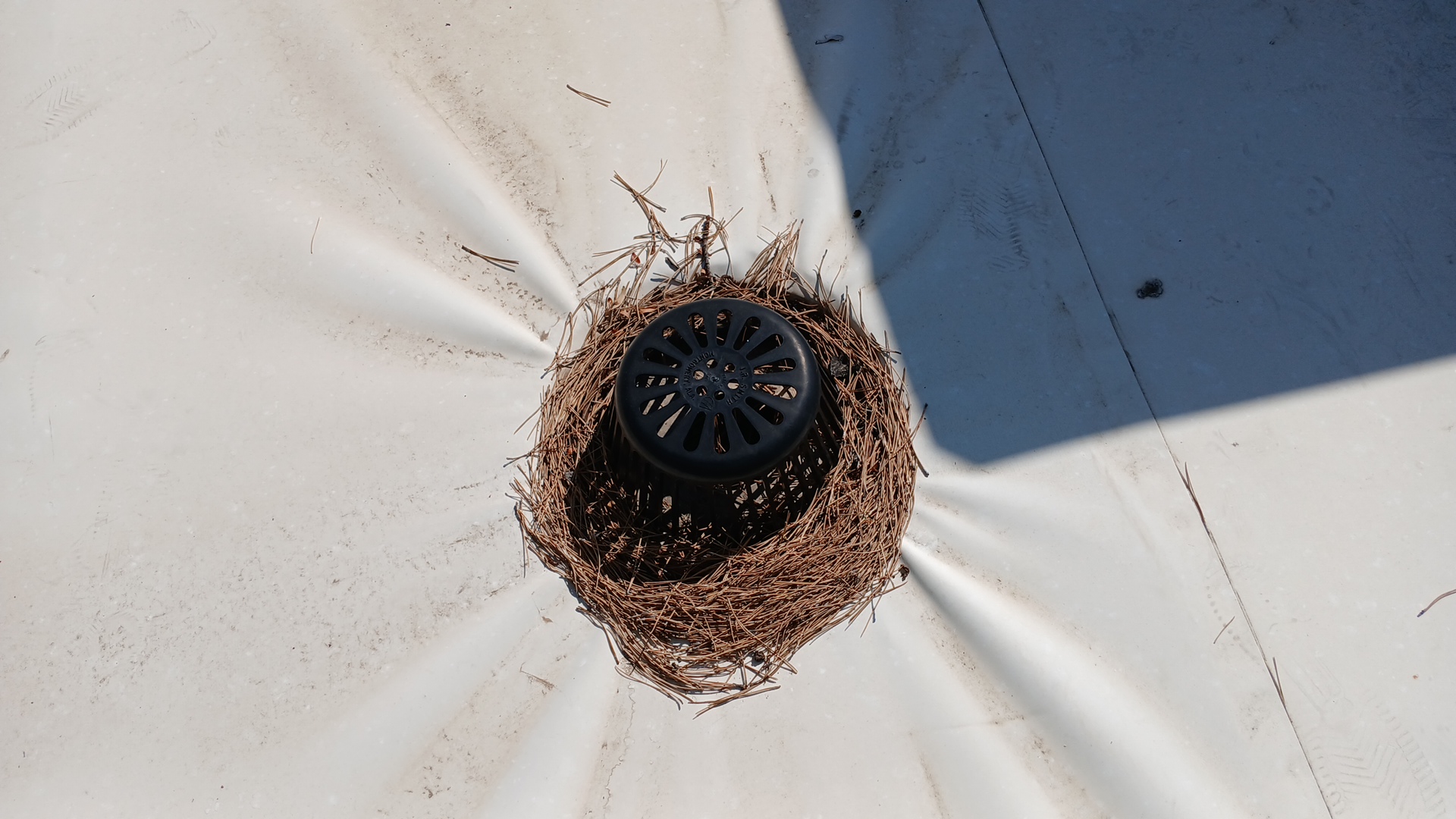 Custom Maintenance Program — Kruger Roofing Grand Junction CO
